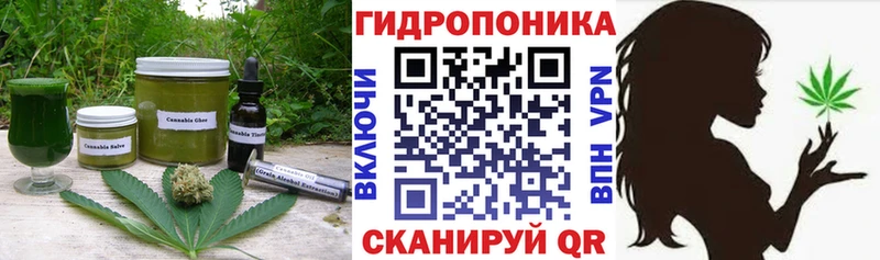 где купить наркоту  Верхняя Пышма  Еда ТГК конопля 