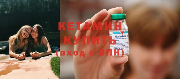прущие грибы Богородицк