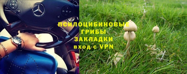 mix Богородск