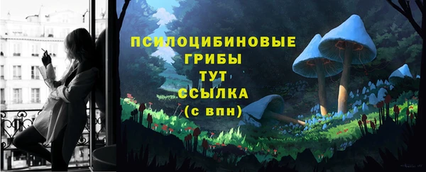 прущие грибы Богородицк