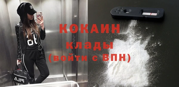 прущие грибы Богородицк