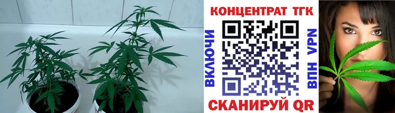 ТГК вейп с тгк  дарнет шоп  OMG как зайти  Верхняя Пышма 